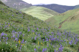 Yushu-Nangqiang, Qinghai