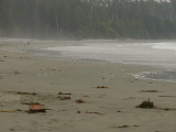Walkers, beach mist.jpg