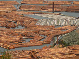 Log booms,Menzies Bay.jpg