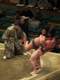 P1166288.jpg