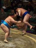 P1166303.jpg