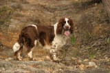 Bhumi. Brynfield Thtruth Btold. 30th July 2004