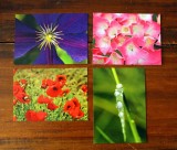 Ansichtkaarten / Cartes postales