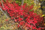 McHughTurnigan_22Sep2008_ 009 [800x600].JPG
