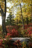 McHughTurnigan_22Sep2008_ 025 [800x600].JPG