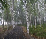 LakeHood_Fog_11Sep2008_ 102 [800x600].jpg