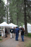 Girdwood_ForestFaire_02Jul2010_ 006.JPG