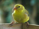 DSC01088.jpg