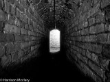 mcclary100710-010.jpg