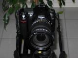Nikon D50  Sigma 17-70mm f/2.8-4.5 DC Macro