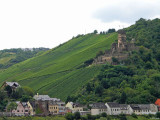 Rhine Valley16 pc.jpg