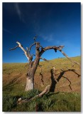 Sutter Buttes 2009