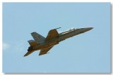 F-18 Hornet