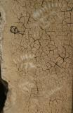 A Block, Cell 48 --  57 172 190 and tick marks
