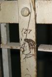 Alcatraz graffiti