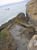 Catch basin viewed from above. Large wall and outfall pipe at right. Blow hole & notch at left.