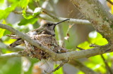 Quail Botanical Gardens