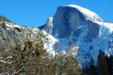 Half Dome in Yosemite