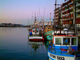 Auckland Harbour