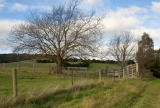 Yarra Valley in Winter