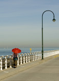 Orange Umbrella