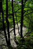 River Teign near Fingle bridge - Dartmoor