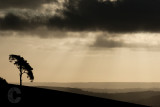 Raddon Hill  in Devon