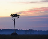 Sunrise, Joe Overstreet Road