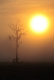 Central Florida sunrise