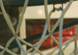 Neighbours  basketball net