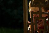Belton005-Small.jpg