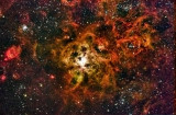 Narrow Band Tarantula - Provisional