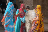 Rajastani women, Madurai