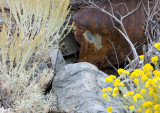 outdoor still life