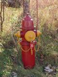 fire hydrant