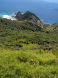 Cape Reinga