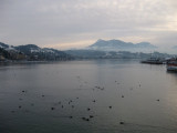 Vierwaldstätter See (Lago de los Cuatro Cantones)