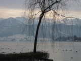 Vierwaldstätter See (Lago de los Cuatro Cantones)