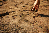 Man petroglyph