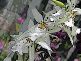 White with purple spots