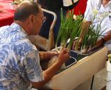 Carving narcissus bulbs