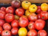 Heirloom tomatoes, red, purple, and yellow