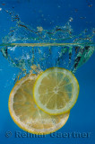 175 Citrus Splash 2.jpg