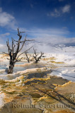 193 Mammoth Hot Springs 4.jpg