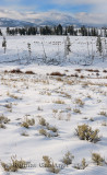 193 North Range Elk P.jpg