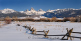 194 Buck and Rail Fence Tetons P.jpg