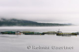 Digby Salmon fishfarm pens and boats in fog at Annapolis Basin St Marys Bay Nova Scotia