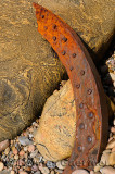Abstract detail of a rusted piece of the SS Ethie shipwreck on the beach at Martins Point Newfoundland