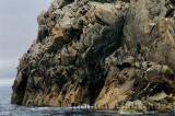 Jagged ancient rocks cliff face on the Atlantic coast of Twillingate Island Newfoundland