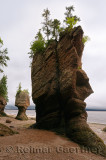 Face of ET and Motherinlaw flowerpot sea stacks at Hopewell Rocks Bay of Fundy New Brunswick